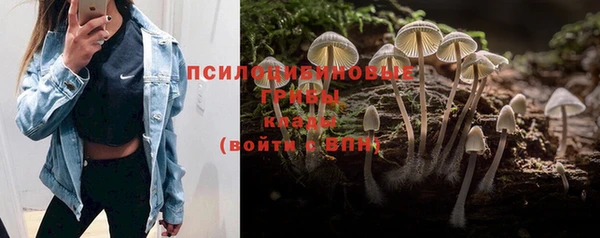 скорость Нязепетровск