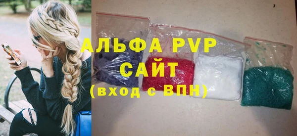 индика Осташков